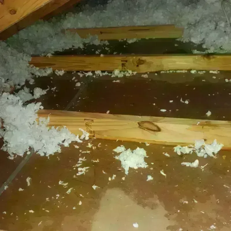 Attic Water Damage in Toquerville, UT