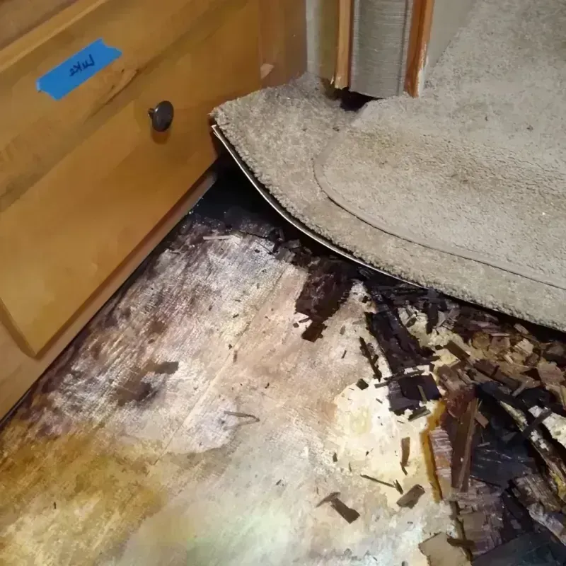 Wood Floor Water Damage in Toquerville, UT